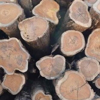 produto-atual-tora-de-teca-1